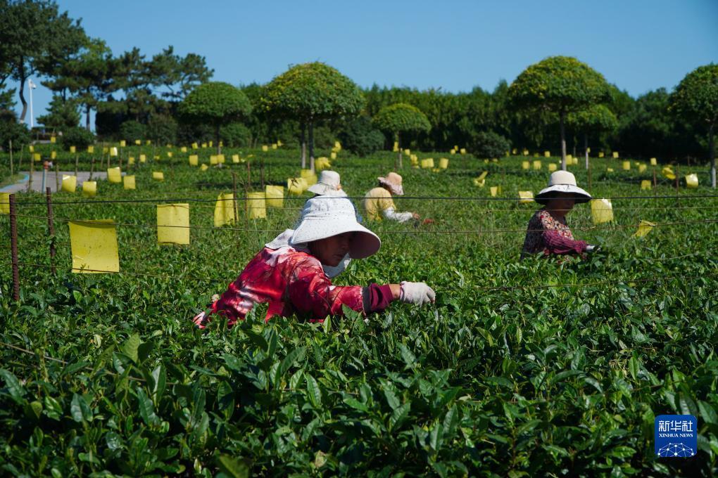 大奖888游戏下载